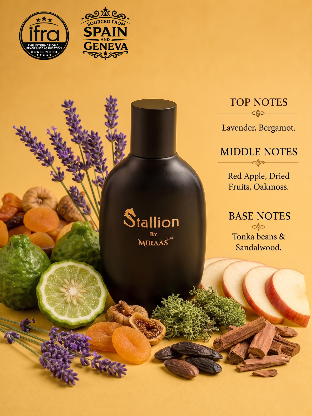 STALLION — Citrus Woody Aromatic | 100ml