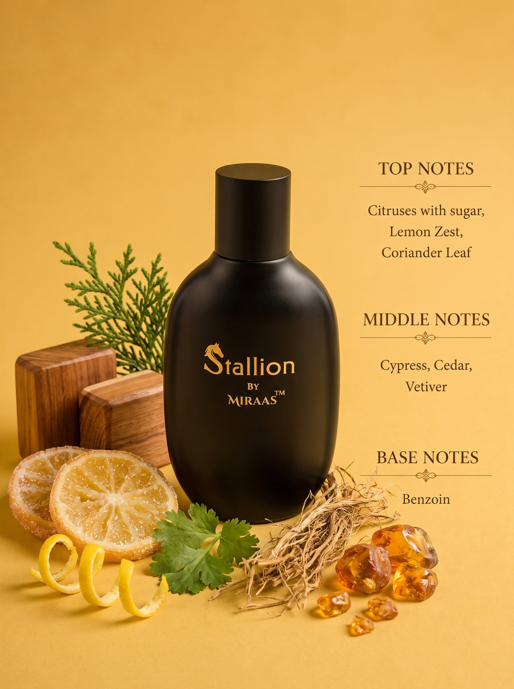 STALLION — Citrus Woody Aromatic | 100ml