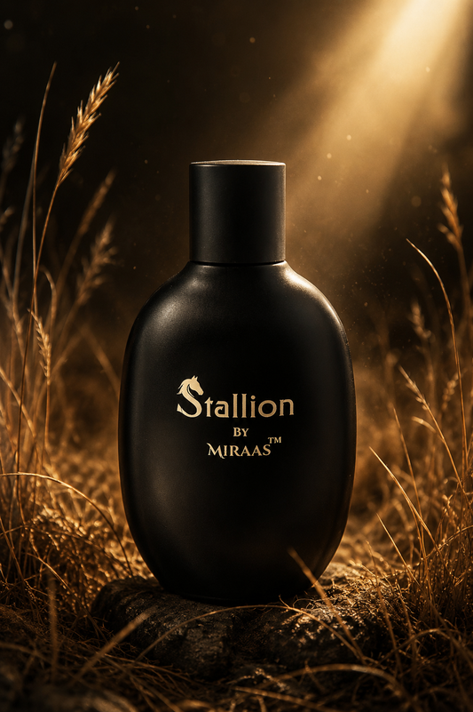 Stallion